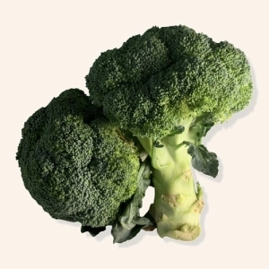 Chou brocoli AB