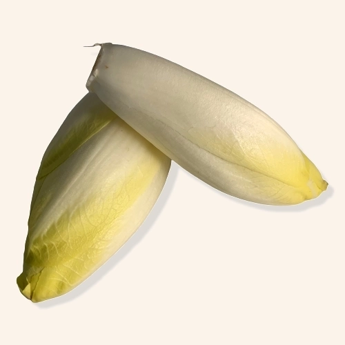 Endive (à l'unité)