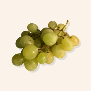 Raisin blanc Danlas (ou chasselas)